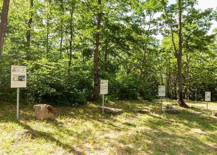 別荘 Villaggio Anemone - Castagno *